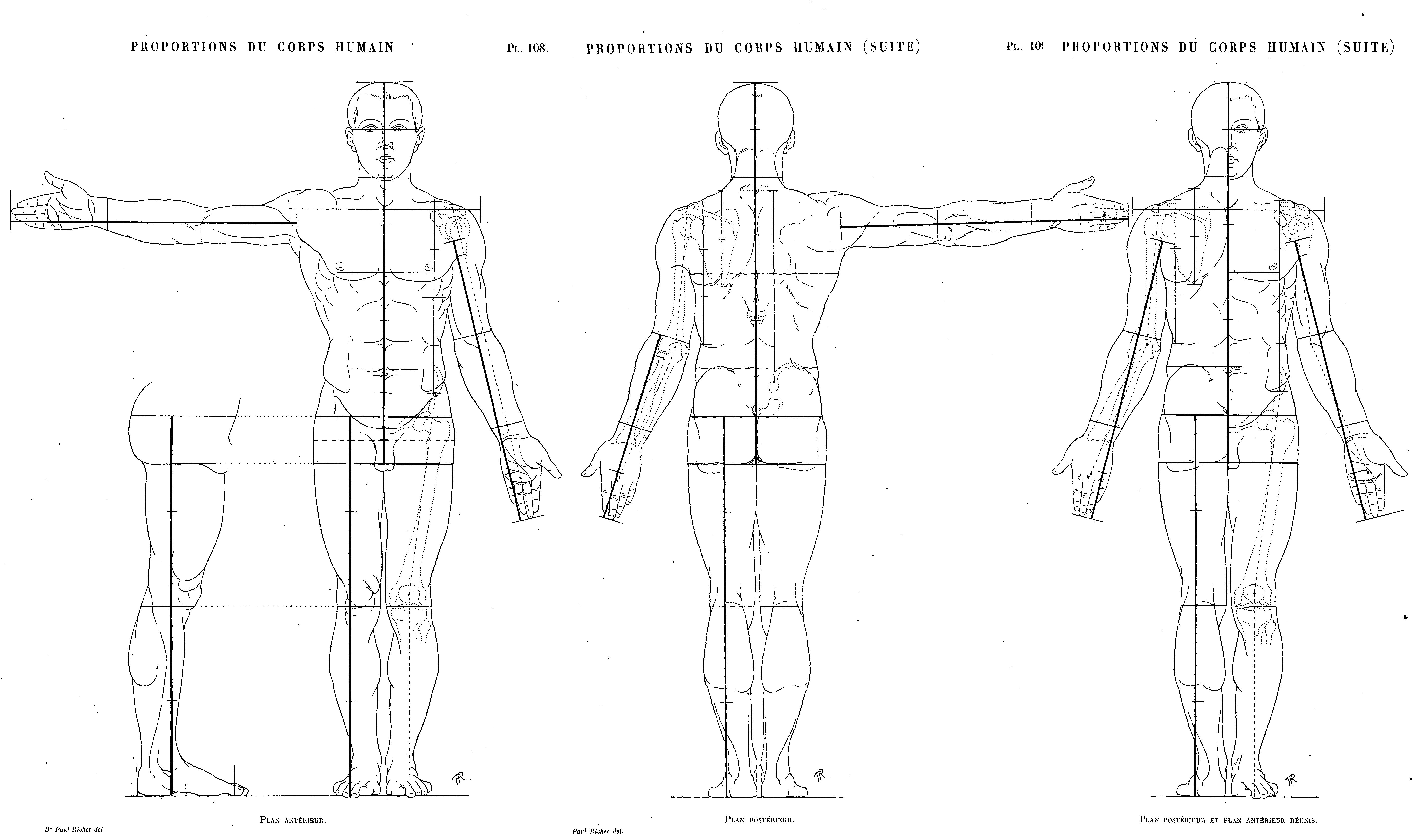 Artistic anatomy by dr paul richer pdf viewer free